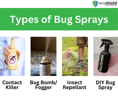 What Bug Spray Do Professionals Use: A Deep Dive into the World of Pest Control